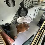 Monkey House